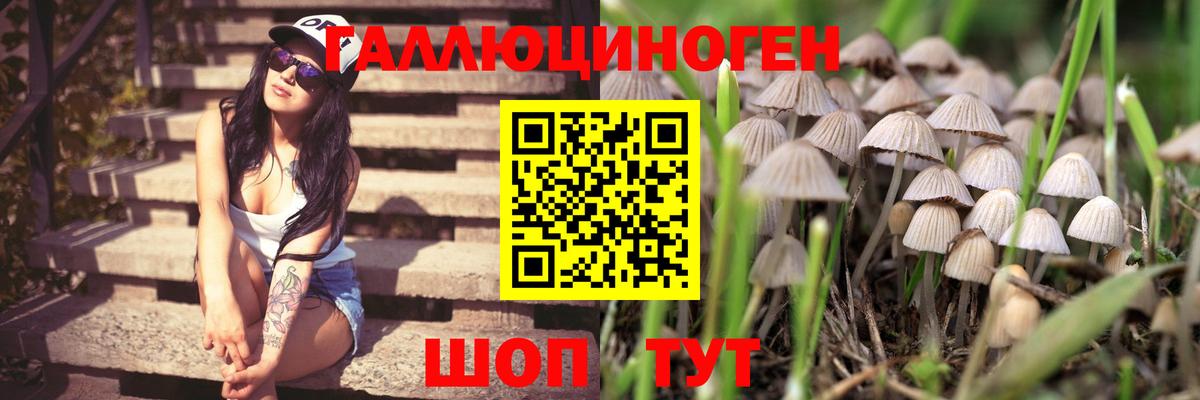 Бор  Псилоцибиновые грибы Magic Shrooms  Вход с VPN 